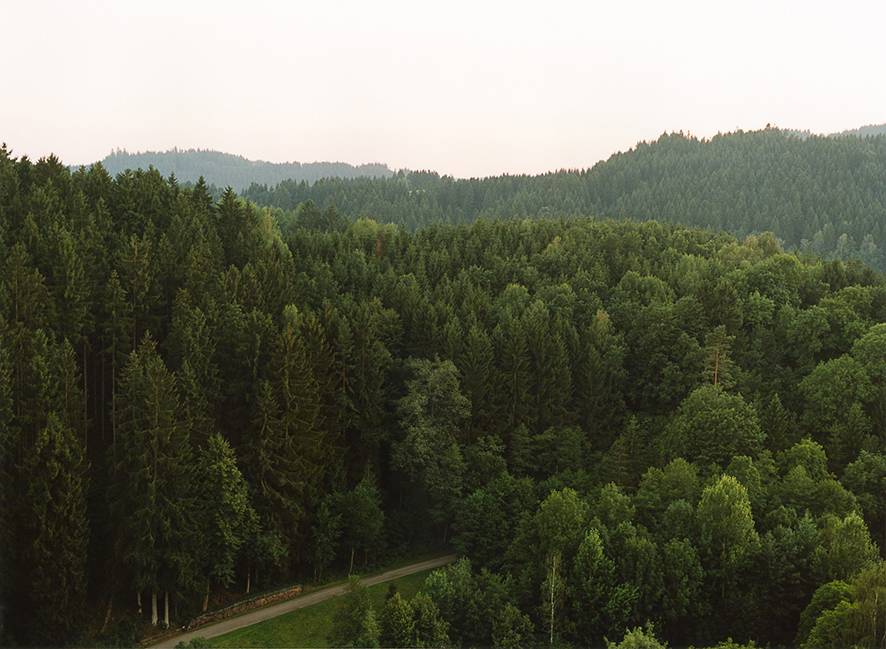Haslach, Sommer 2012
